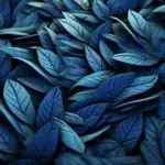 Abstract Texture with Natural Organic Brain Maze Leaves